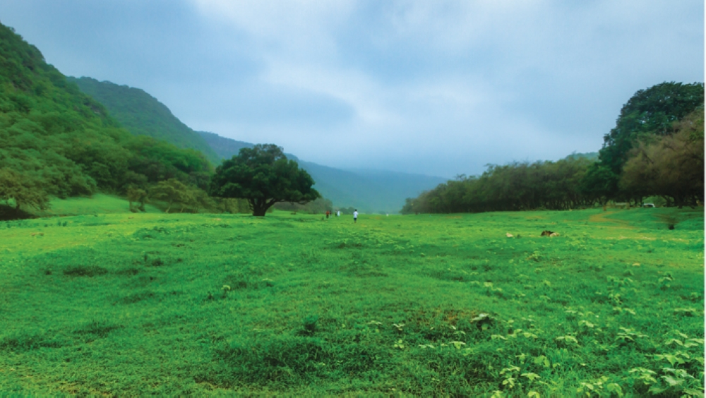 Important numbers to learn for your roadtrip to Salalah