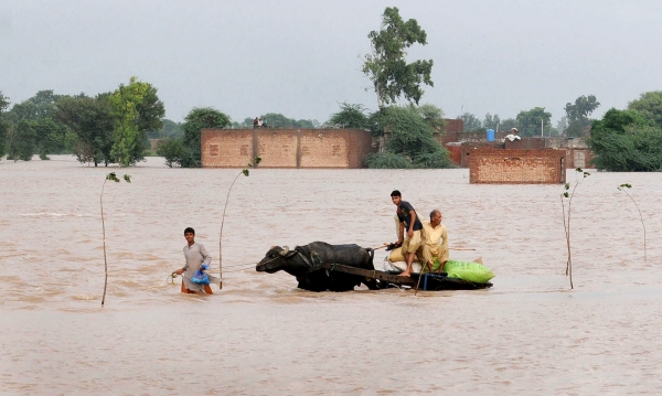 Rain-related accidents cause 83 deaths in Pakistan
