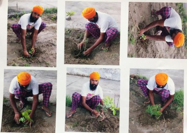 فقط فى البنجاب الهندية .. زراعة 10 أشجار مقابل الحصول على رخصة سلاح