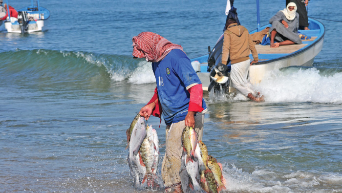 Half a billion invested in fisheries projects