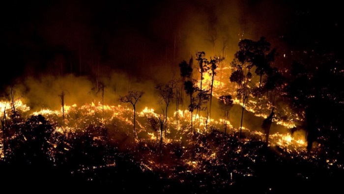 Brazil’s Amazon rainforest is burning at a record rate