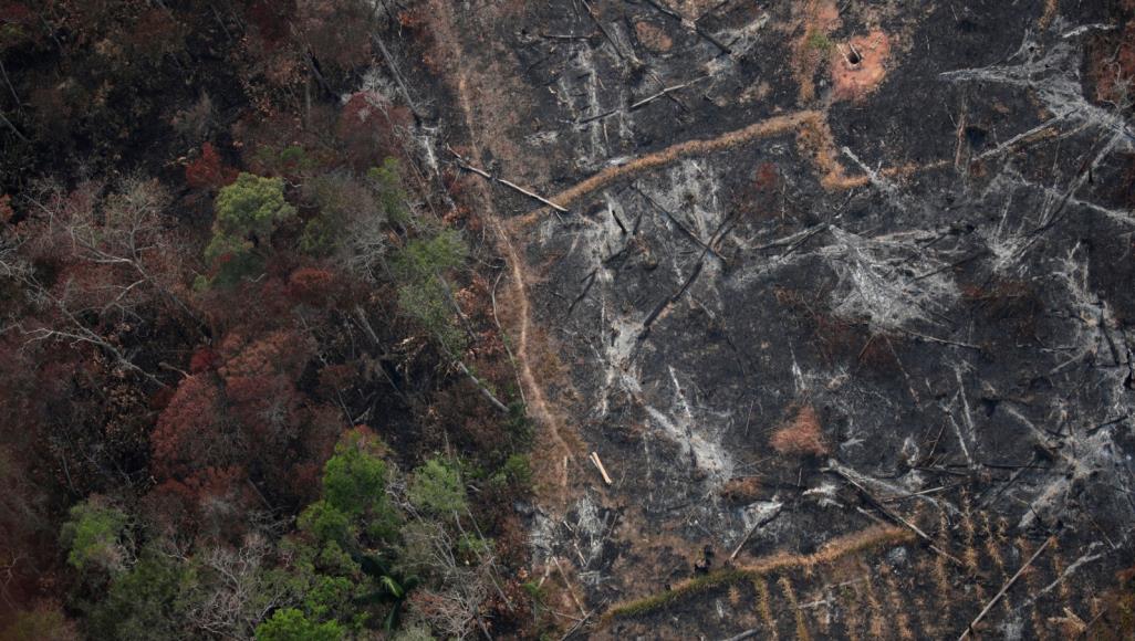 "حرائق الأمازون" تهدد كوكب الأرض بكارثة تاريخية.. 9000 حريق حتى الآن