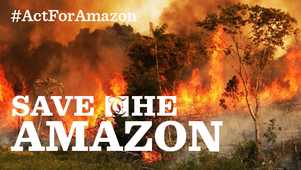 Brazil Prez sends army to douse Amazon fires