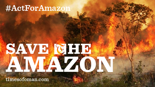 Over 1000 new fires reported in Amazon rainforest, army mobilised to combat situation