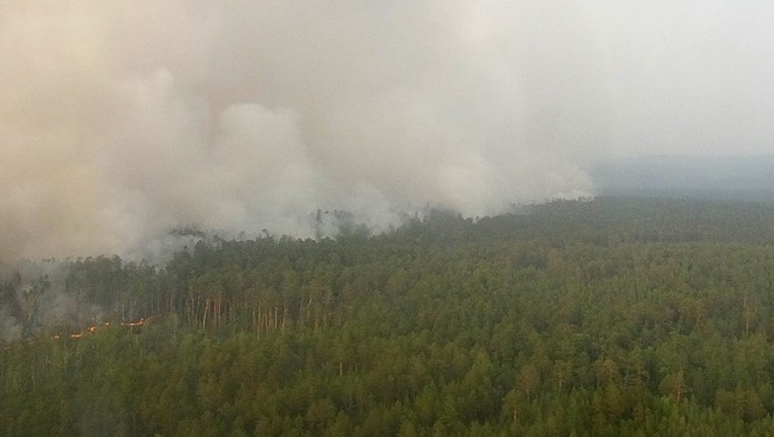In pictures: Hundreds of wildfires burn in Siberia
