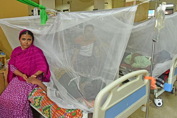 Dengue death toll in Bangladesh rises to 23
