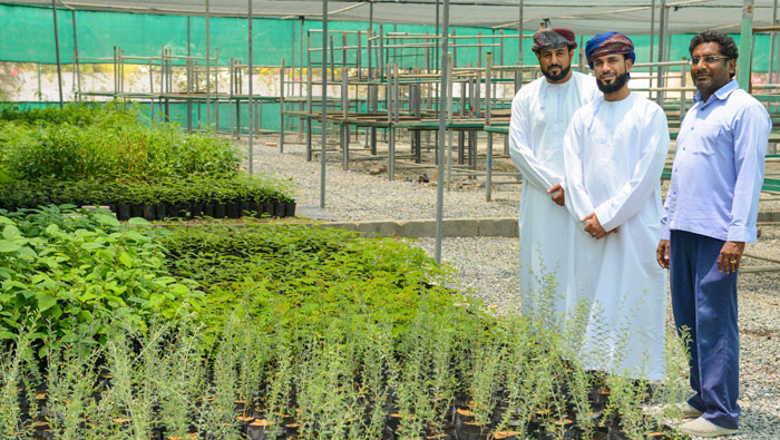 10,000 trees for this part of Muscat