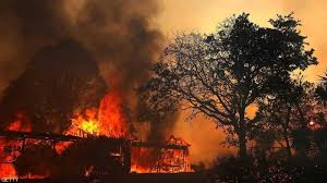 حرائق الغابات في أستراليا تتسبب في إغلاق 12 مدرسة في كوينزلاند و تدمر منزلين