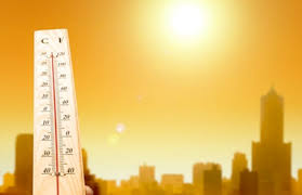 الحرارة العظمى اليوم في مسقط 38 درجة مئوية