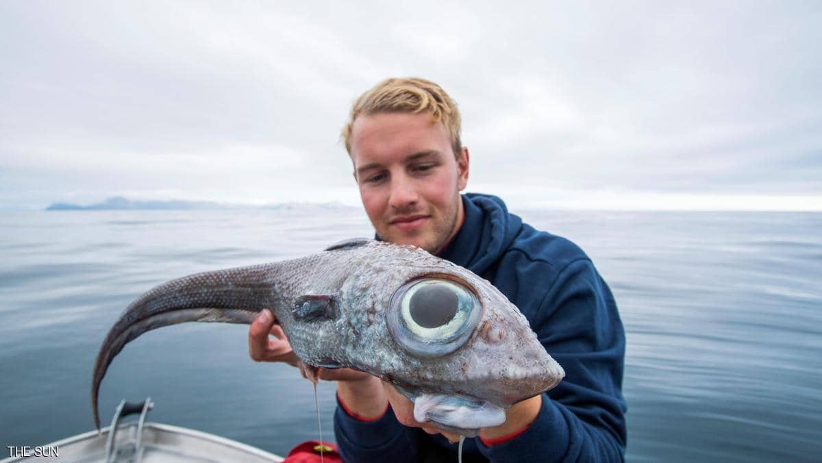صياد نرويجي يصطاد "السمكة الديناصور" العجيبة