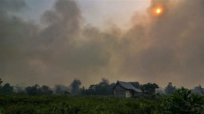 Toxic haze descends on parts of Indonesia