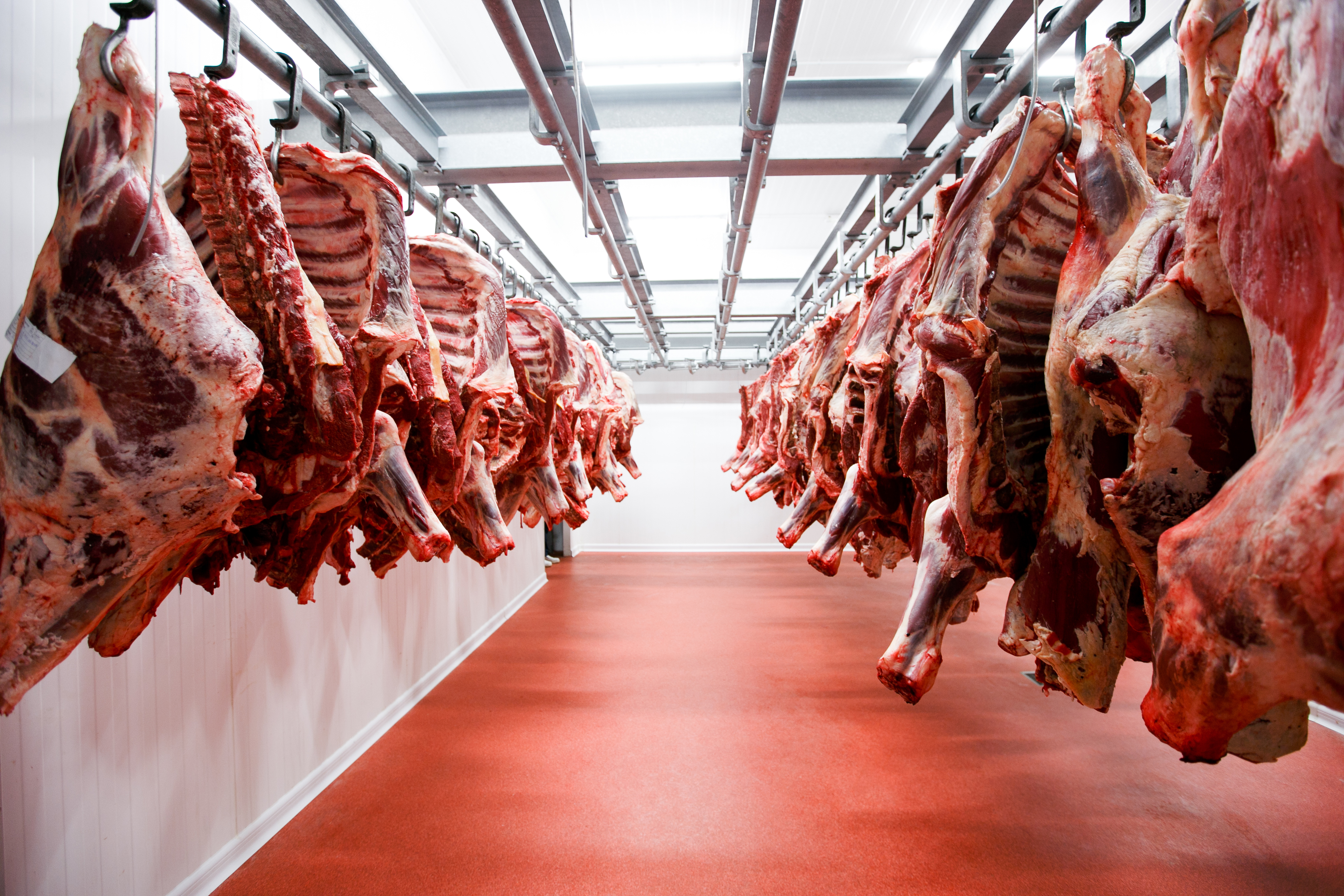 46 ألف طن الإنتاج المحلي للسلطنة من "اللحوم الحمراء" بنهاية 2018