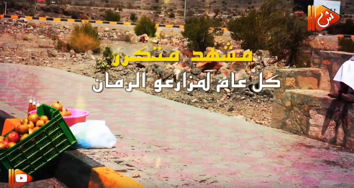 فيديو جراف.. هذا هو حال بائعي "الرمان" في الجبل الأخضر