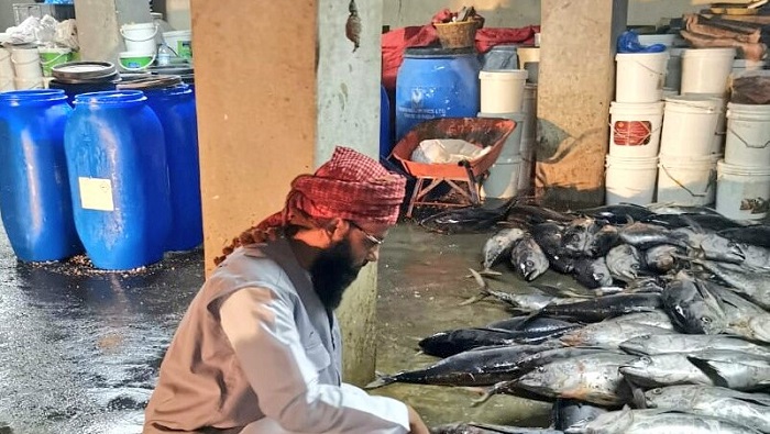 Over 7,000 kg of fish destroyed after municipal raid in Oman