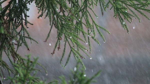 Isolated rain over some parts of Oman forecast