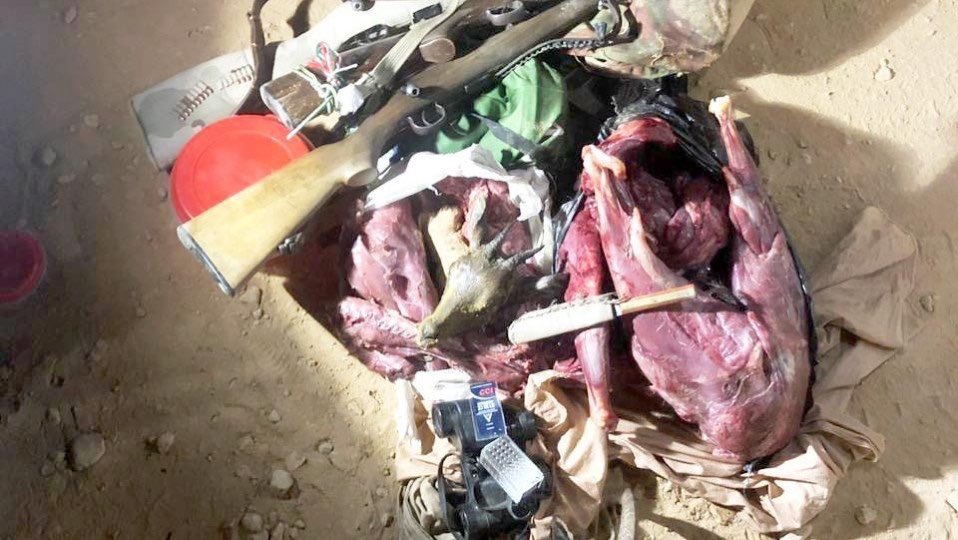Five people arrested in Oman for hunting Arabian Tahr