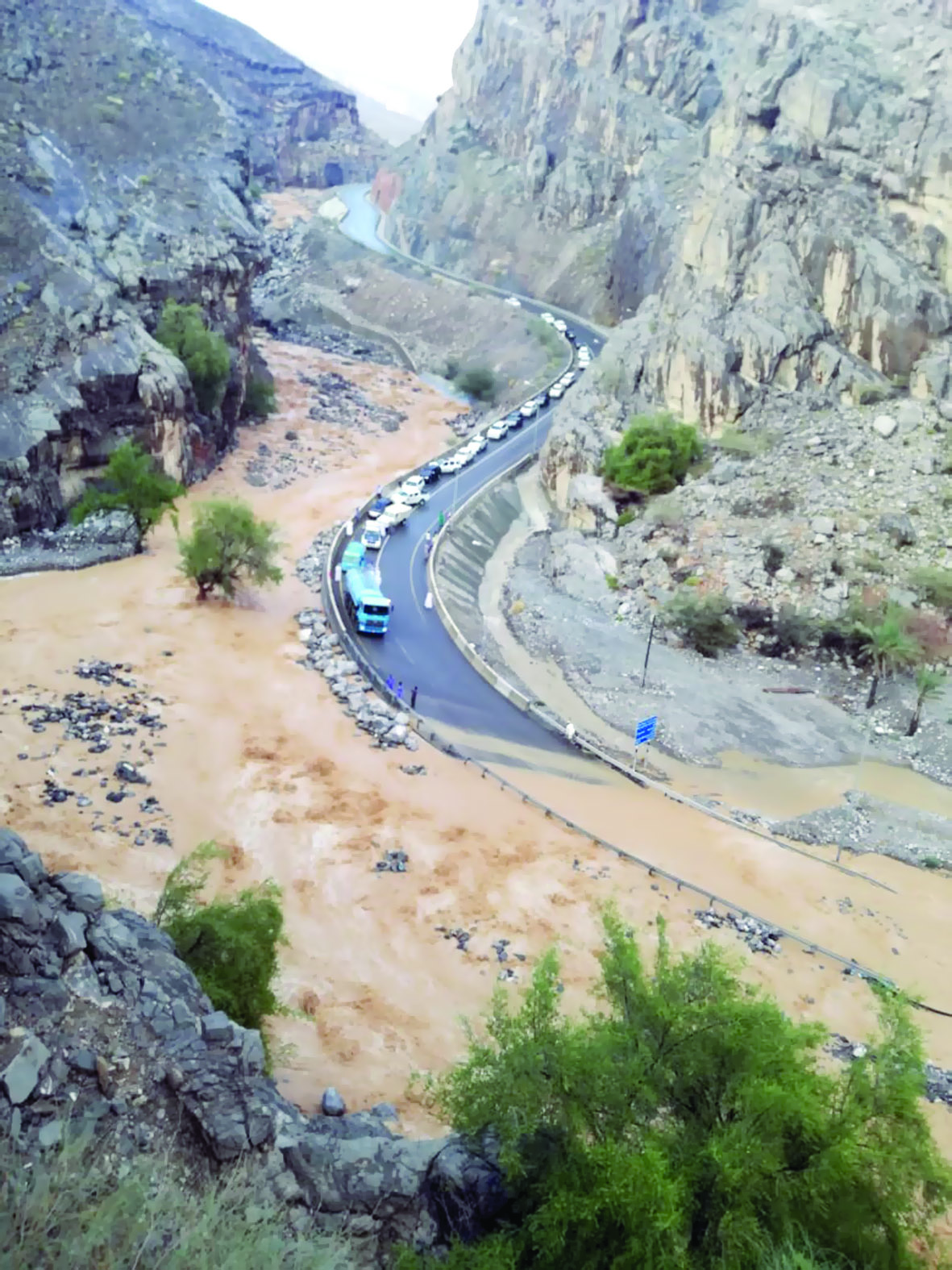 بسبب الأمطار.. انقطاع الطريق العام لـ"الجبل الأخضر"