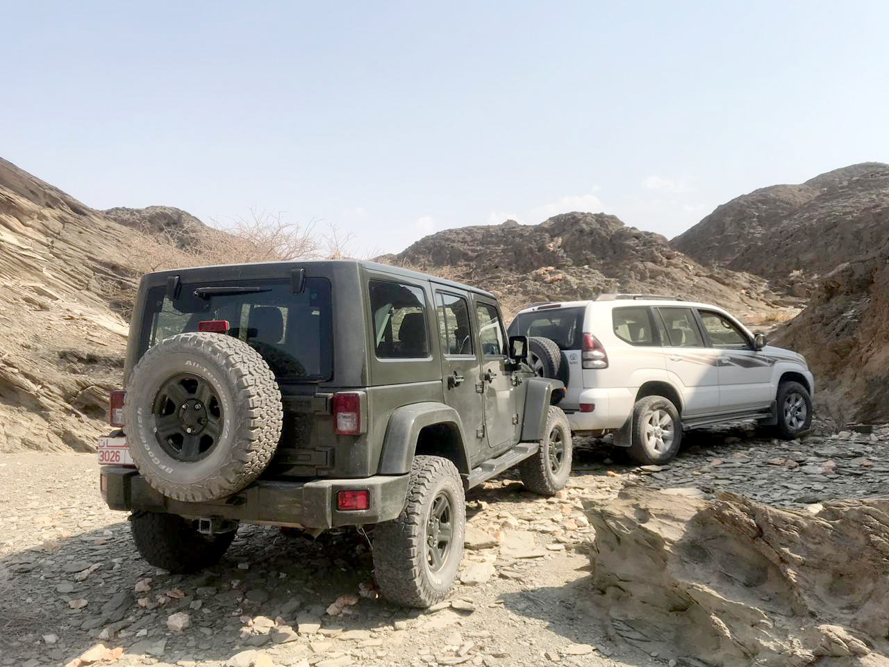 Poachers shoot at Oman government officials in nature reserve