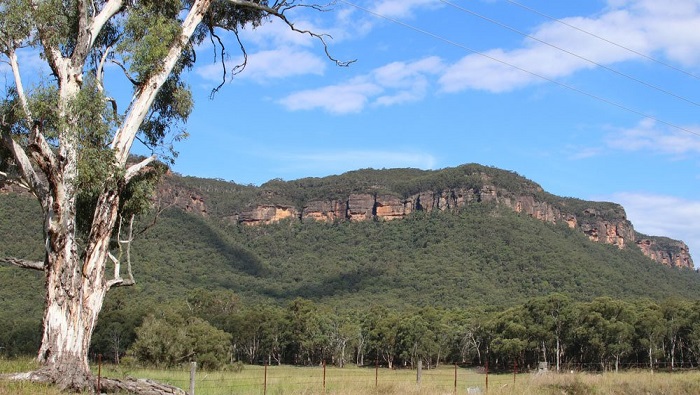 Australian government buys bushland in Blue Mountains to protect environment