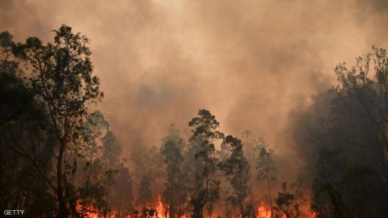 "شينخوا" : دخان حرائق الغابات في استراليا سيصل نيوزيلاندا