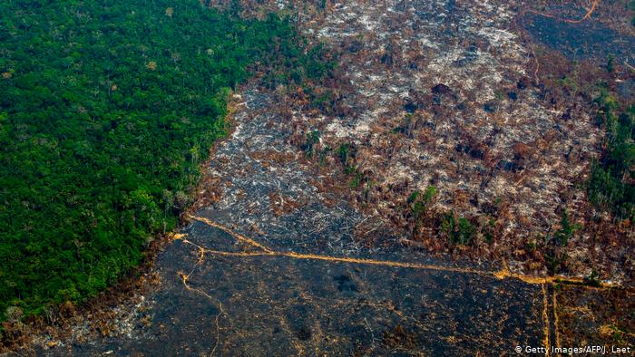 Amazon deforestation in Brazil hits worst level in over a decade