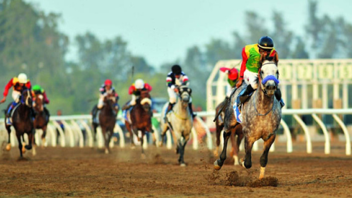 Sayyid Asa’ad to preside over Royal horse race