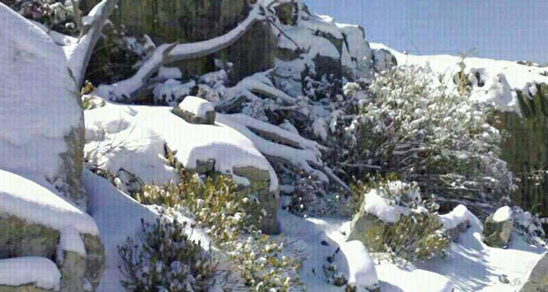 تدني درجات الحرارة وتشكل الصقيع في المناطق الجبلية