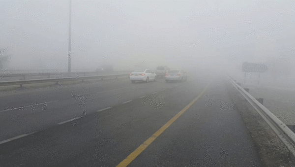 Fog cover forecast over parts of Oman