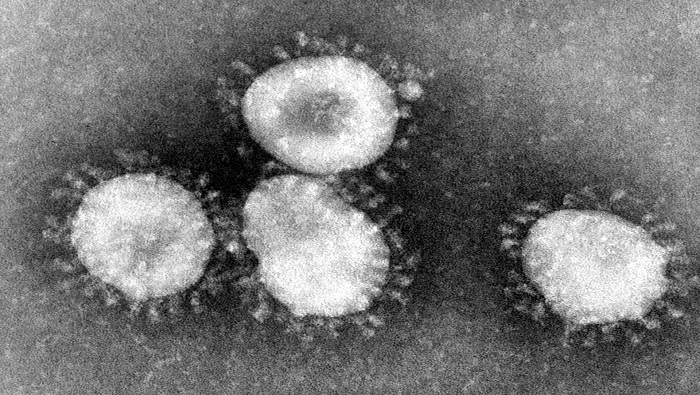 First cases of Coronavirus confirmed in UK