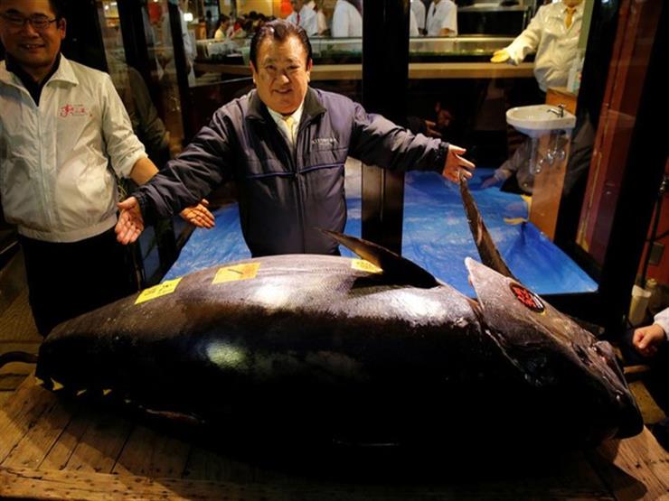 Japanese man spends nearly $2 million on a 276kg fish