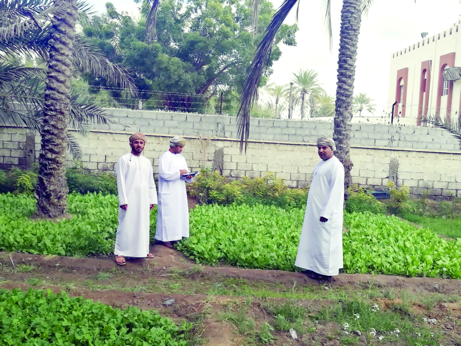 "الزراعة" تتابع مشروع جمع البيانات الزراعية