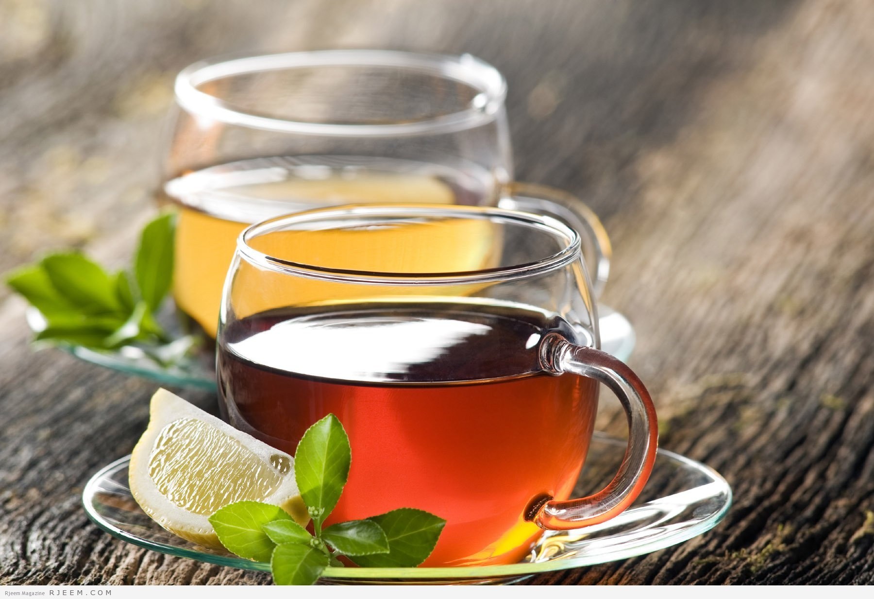 الشاي الأخضر أم الأسود.. دراسة تكشف "الأكثر فائدة"