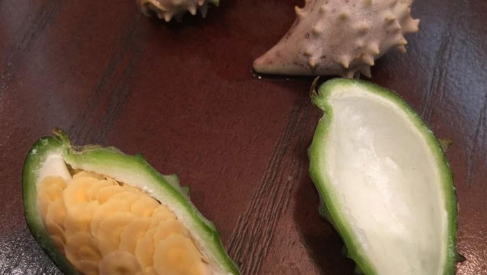 Have you tried this fruit in Oman yet?