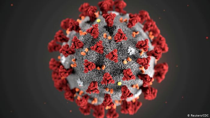 Africa confirms first case of coronavirus
