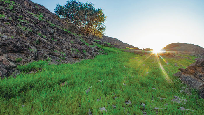 Green mountains of Oman make for some stunning landscapes