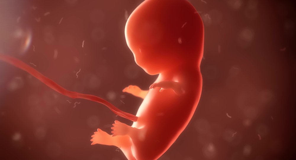 دراسة تكشف دور "الوراثة" في تحديد جنس الجنين