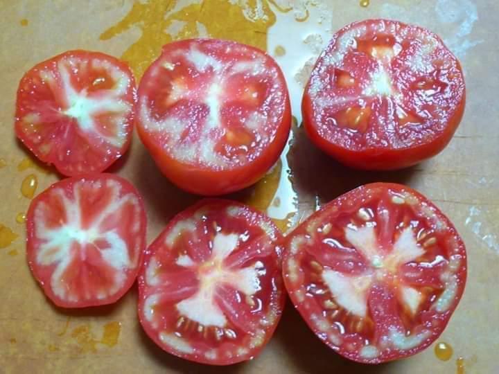 "الزراعة" تصدر توضيحات حول جدل "اللحمية البيضاء" في الطماطم