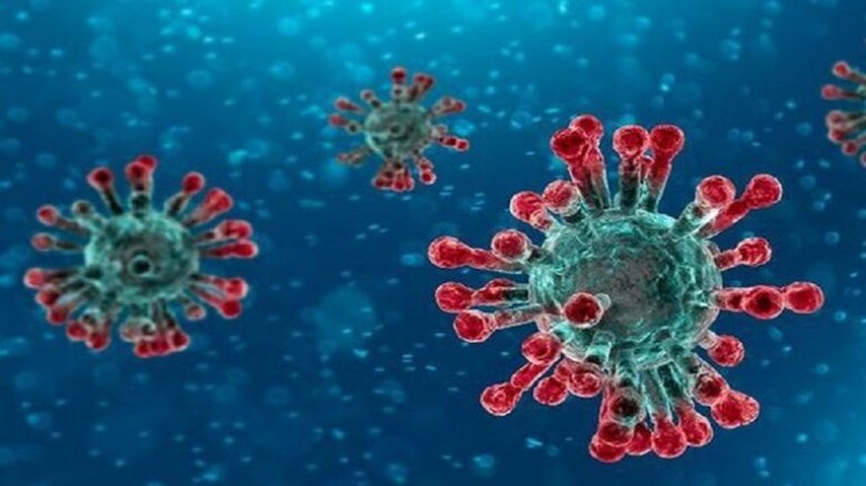 السلطنة تنفي وجود 9 اصابات بفيروس كورونا في الدقم