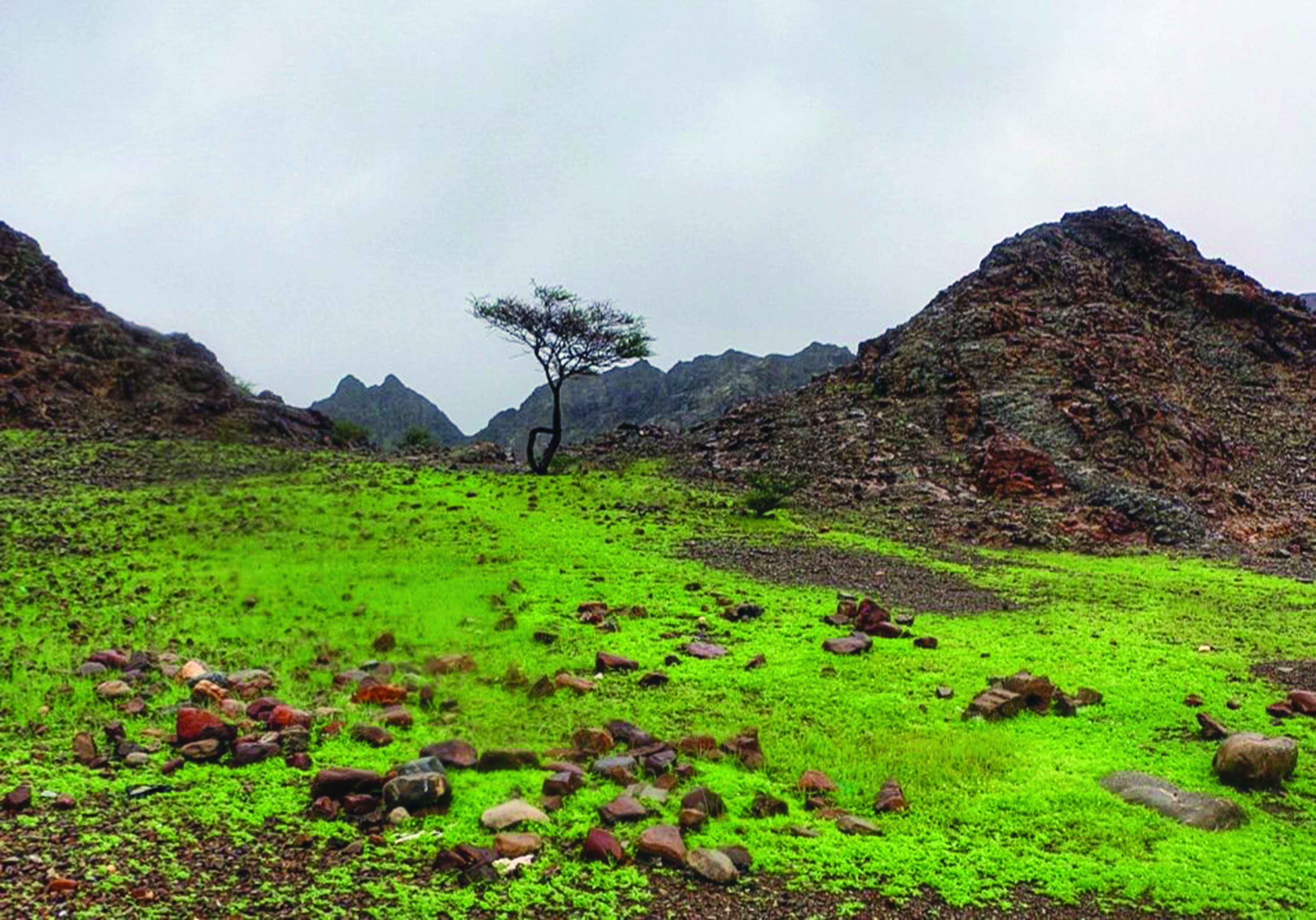 In pictures: Green mountains of Oman make for some stunning landscapes