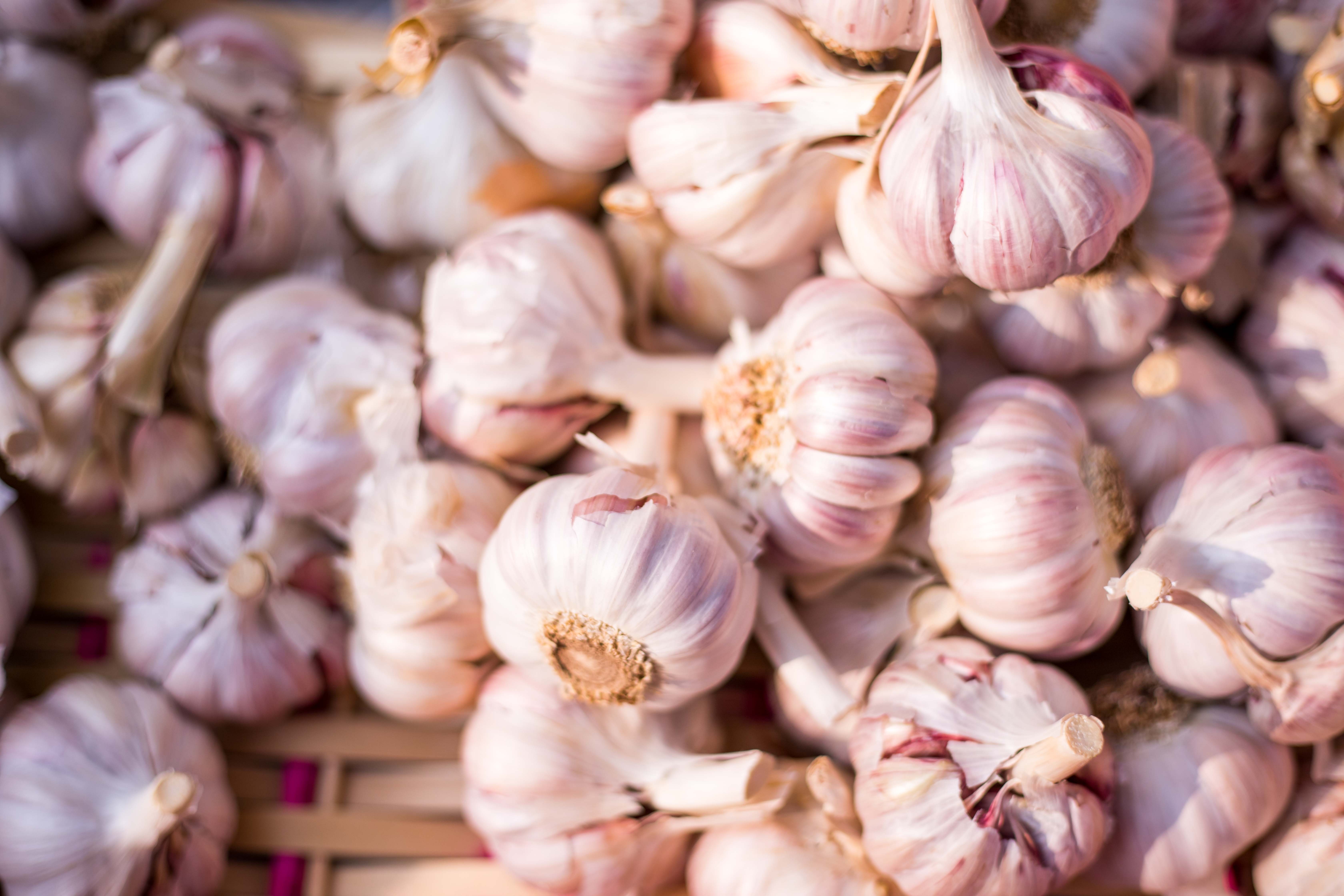Eating garlic not a cure for coronavirus - WHO