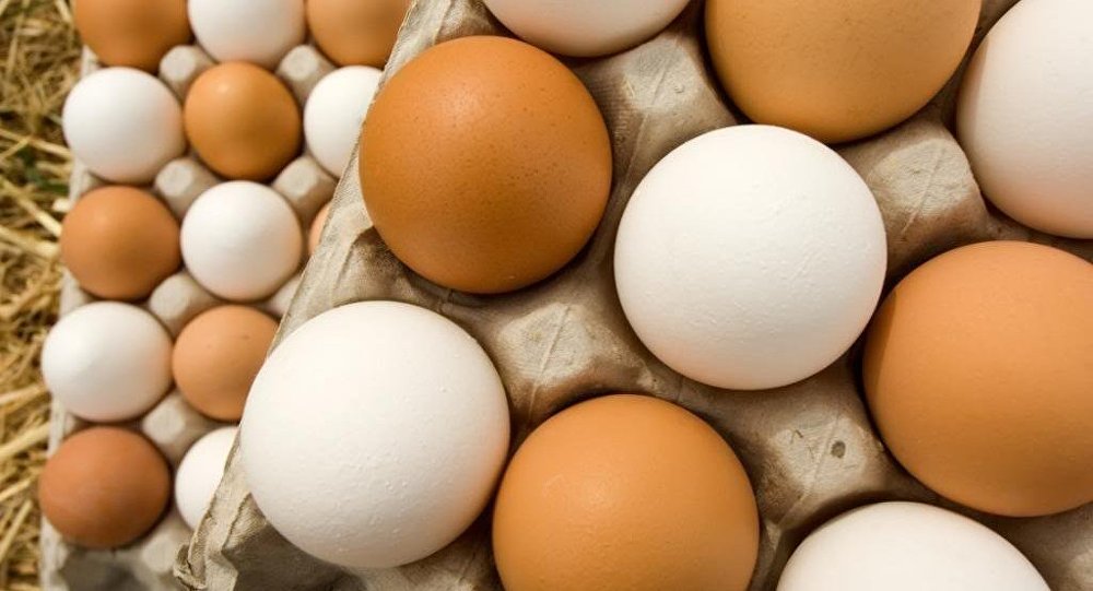 لمصلحة الدجاج.. المزارعون ينصحون باستهلاك البيض الأبيض وليس البني