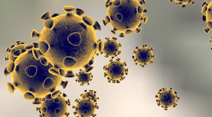 One coronavirus case in Saudi Arabia recovered