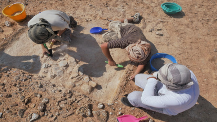 Ministry unveils results of archaeological explorations