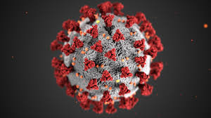 ارتفاع الإصابات بفيروس كورونا في السلطنة إلى 24 حالة