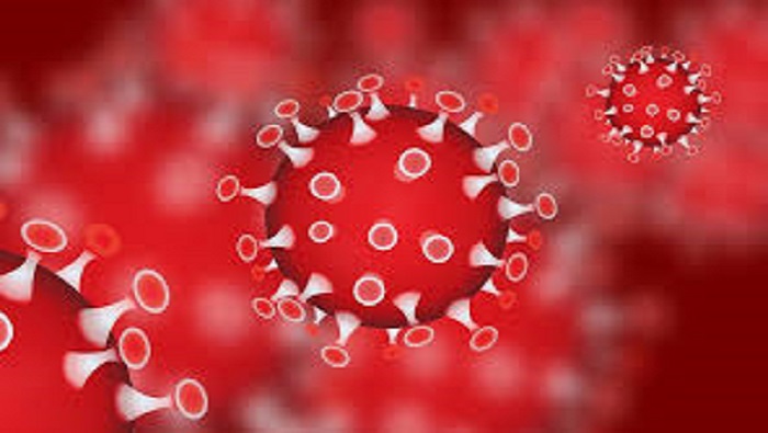 Coronavirus: Saudi Arabia records more than 30 new cases