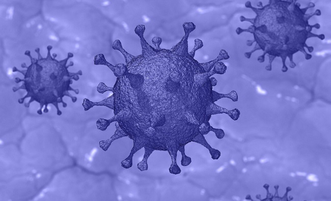 15 new coronavirus cases reported in Oman