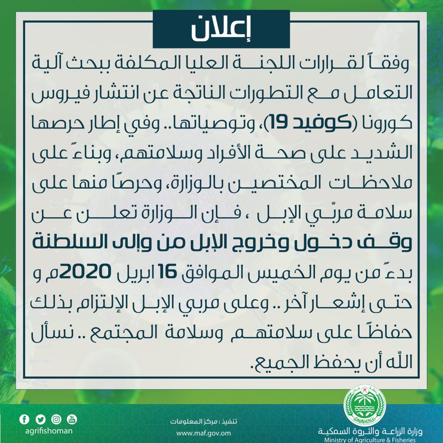 وقف دخول وخروج الإبل من وإلى السلطنة حتى إشعار آخر