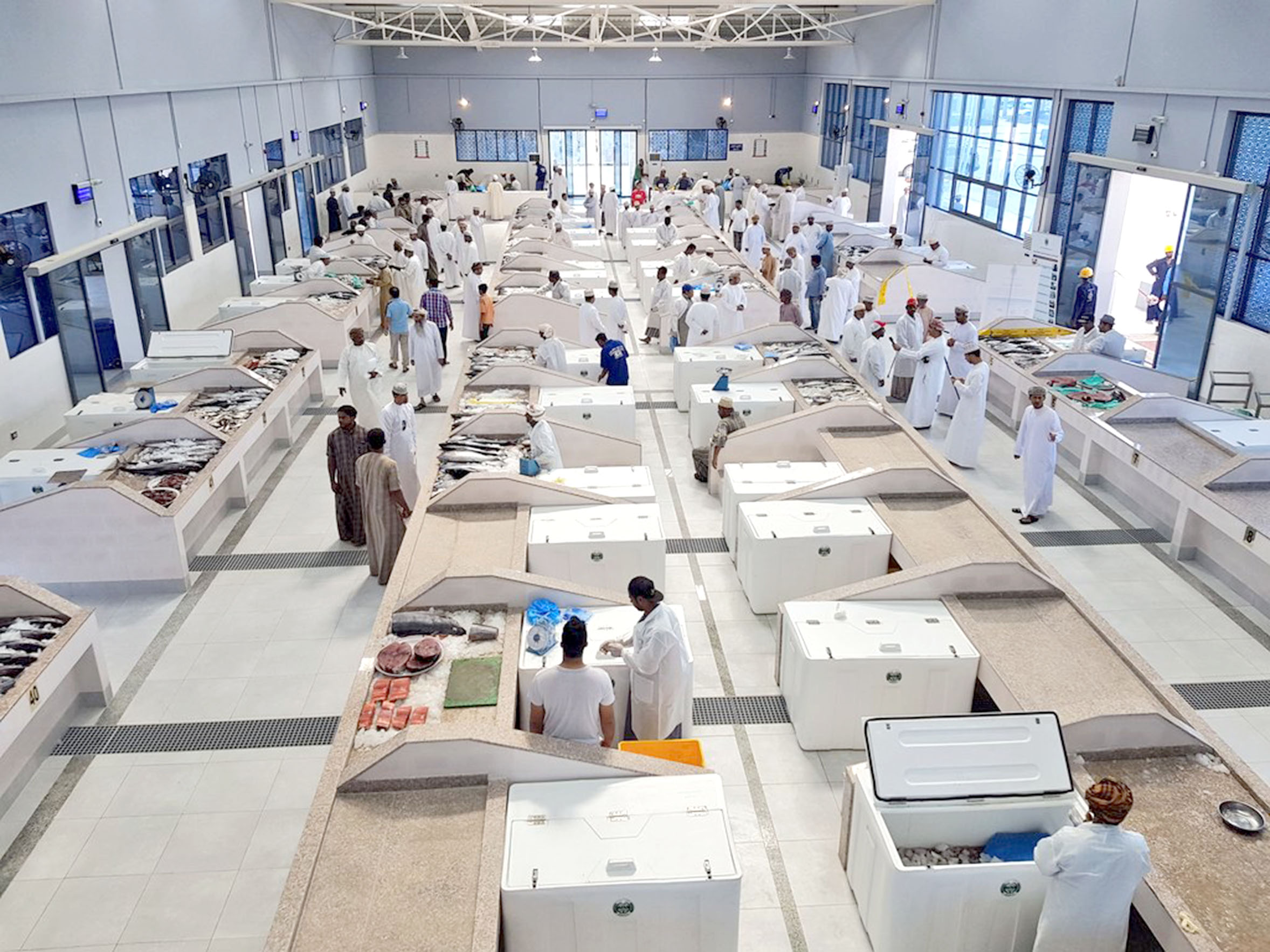 الوسطى تتربع في السمك