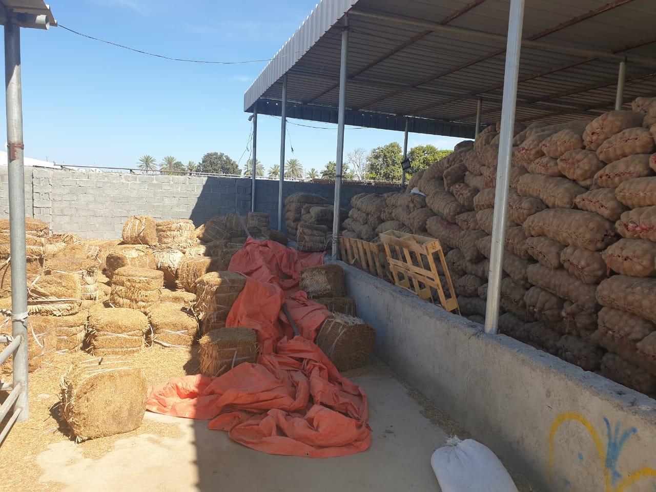 مداهمة مزرعة تستخدم لتخزين وإعادة تعبئة البصل