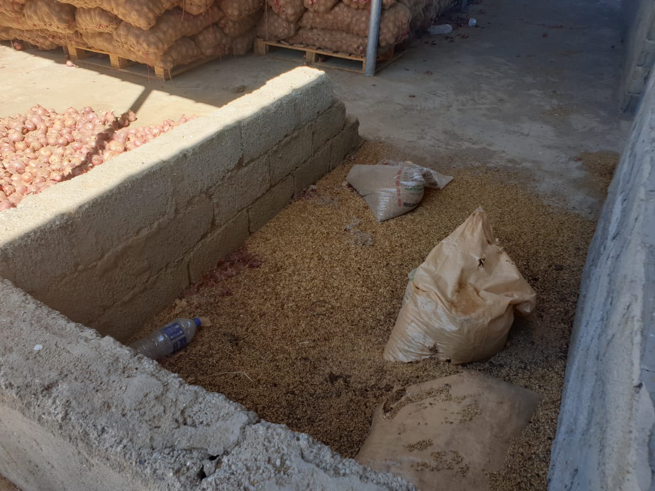 Sohar Municipality raids farm, authorities take legal action